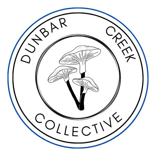 Dunbar Creek Collective Logo that has a large blue empty circle that has a black empty circle in it with the words"dunbar creek collective" wrapping around inside the circle and a picture of mushrooms